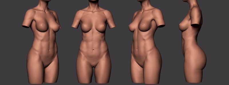 Female body Reference