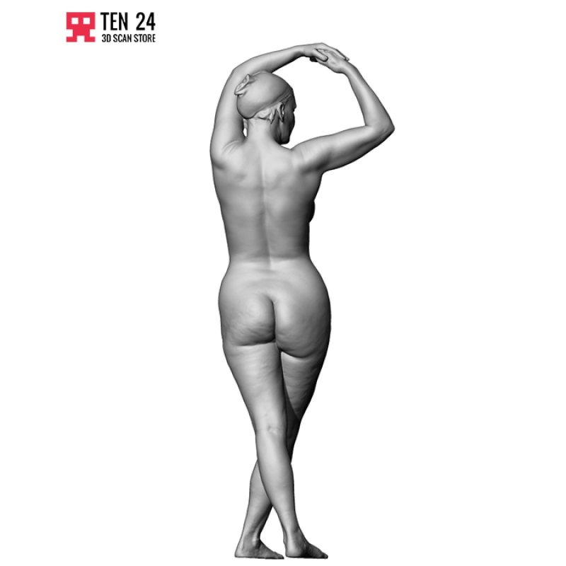 Models Figure
