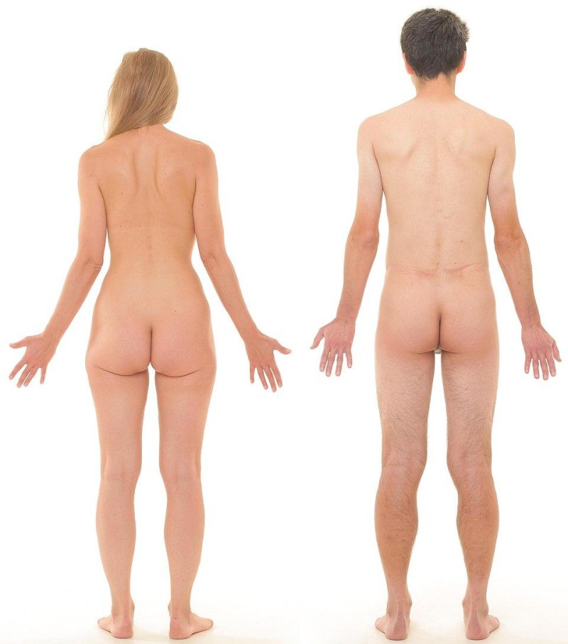 Naked man view from behind
