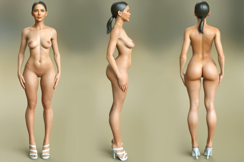Reference of the female body