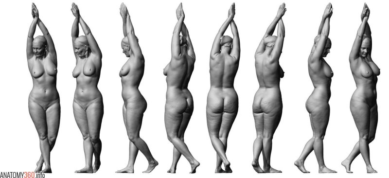 Different figures of naked women