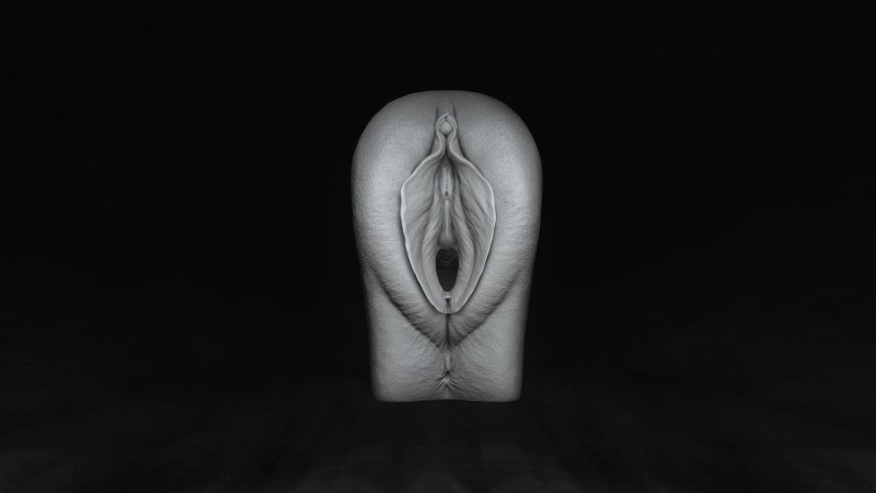 Erotic vagina