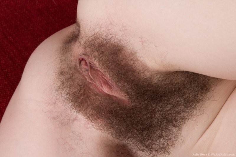 Pubic wigs