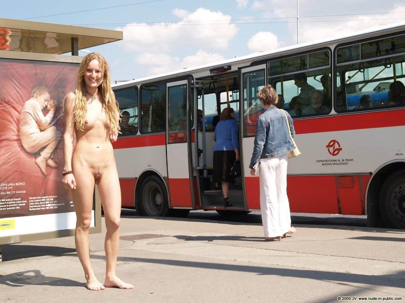 Photo Bus