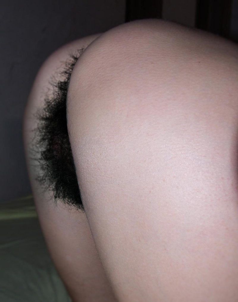 Hair on the pubis