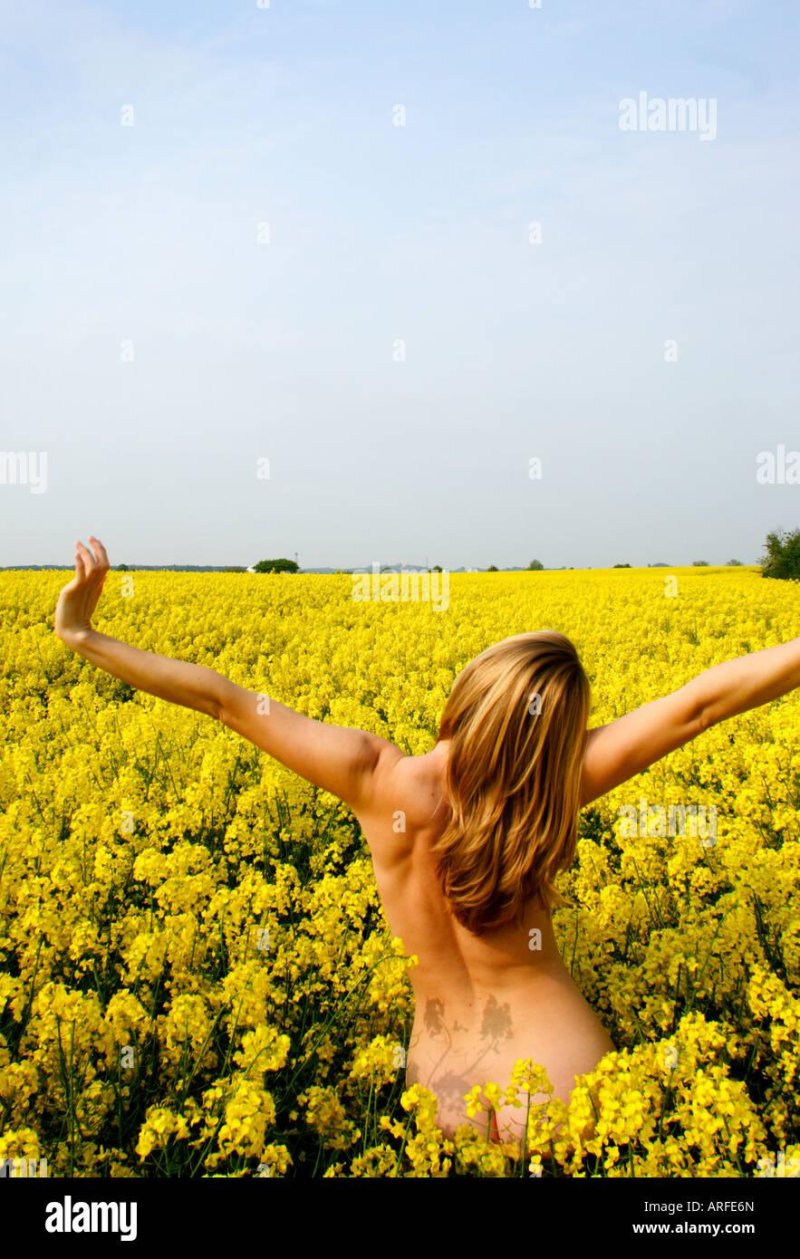 Girl in the Yellow Field
