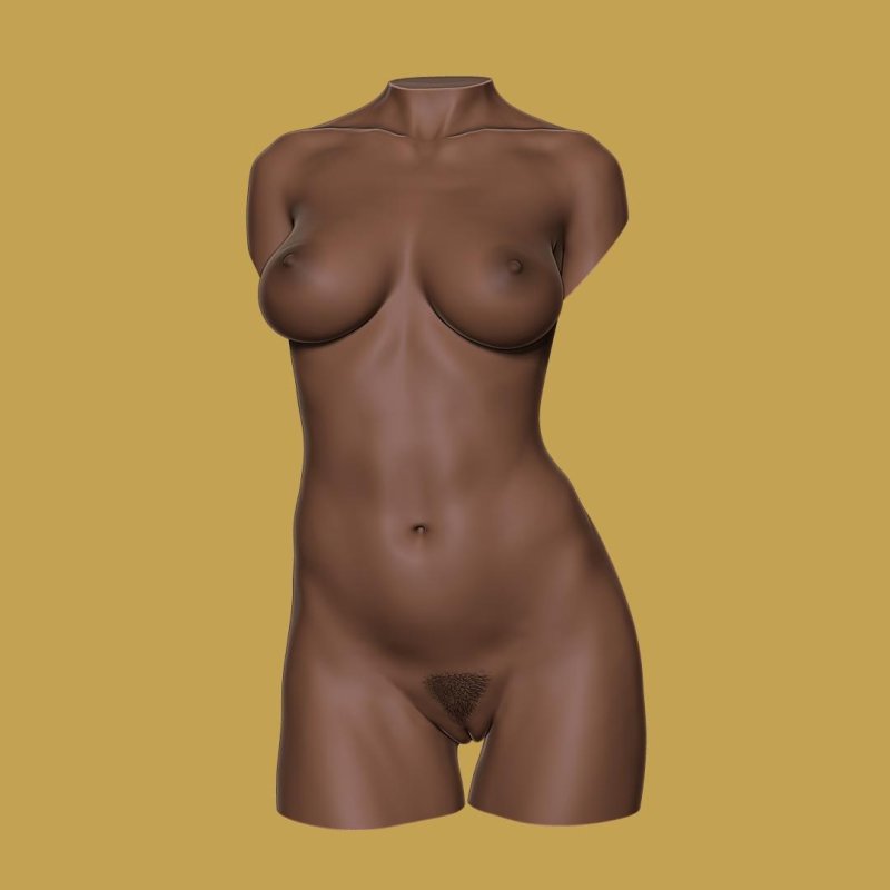 Naked female torso