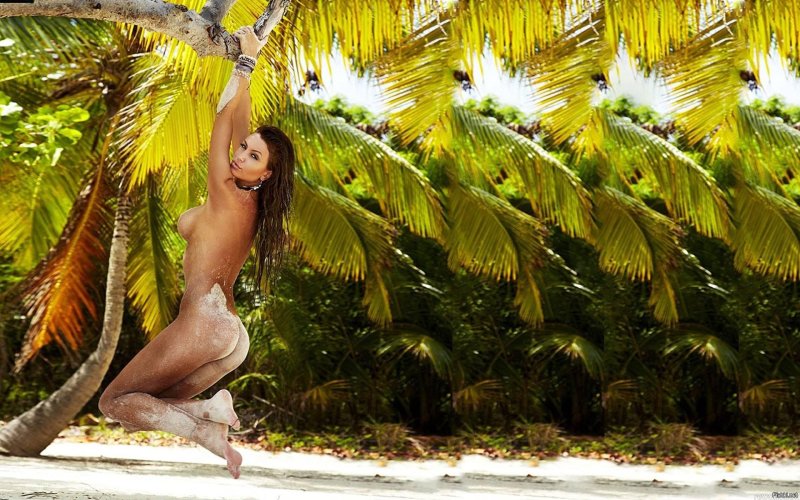Naked girls on tropical islands