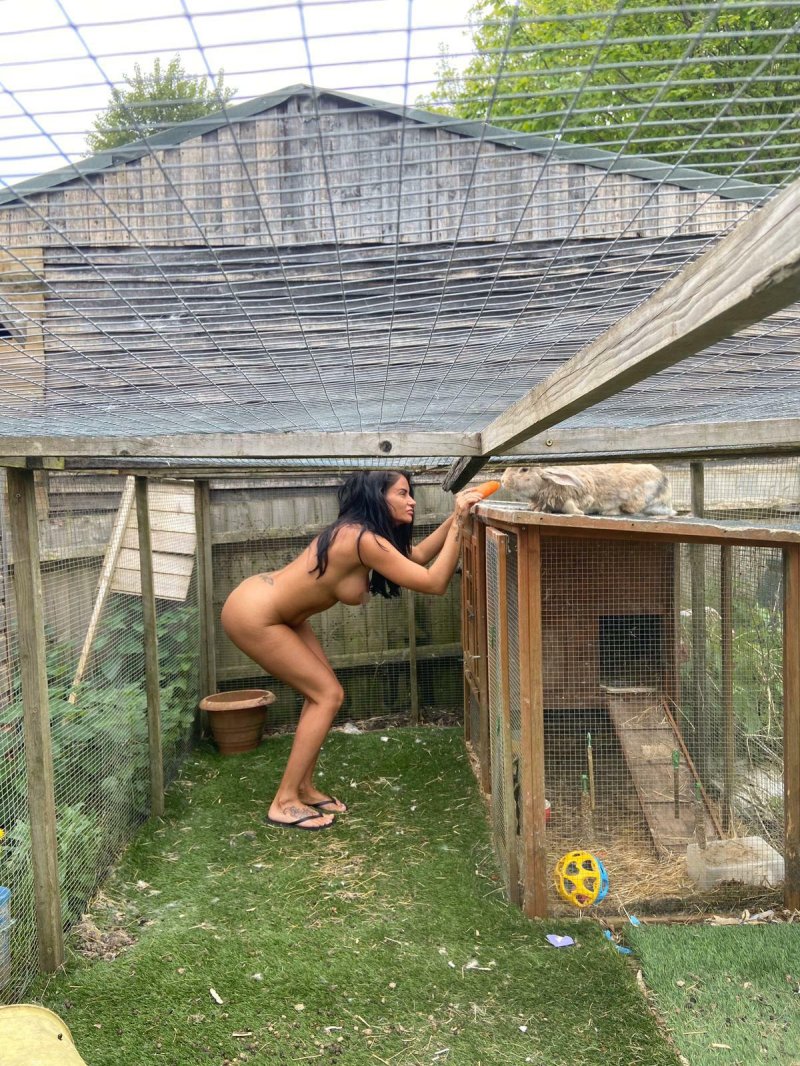 Chicken coop