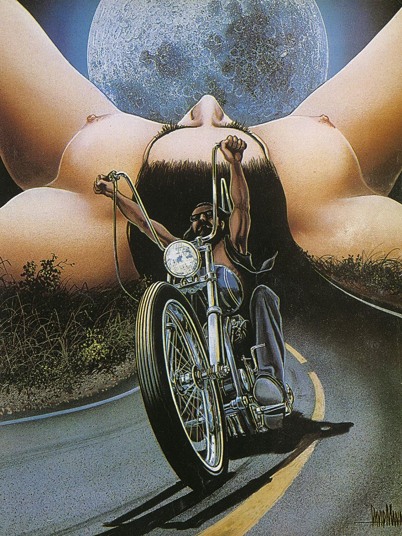David Mann Harley
