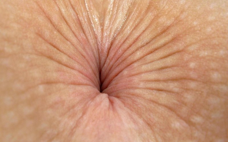 Female anus
