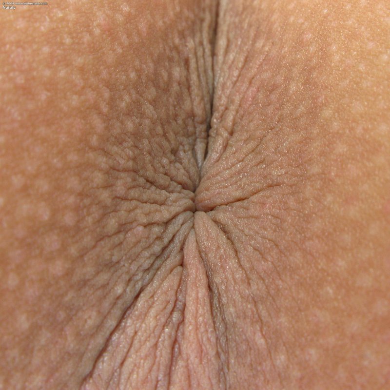 Beautiful naked female anuses