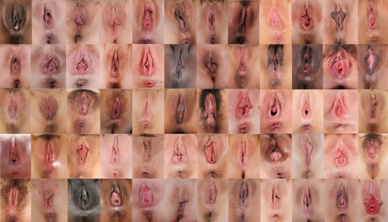 Different pussy