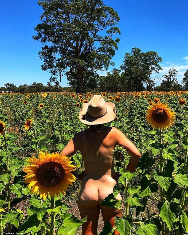 Girl in Sunflower