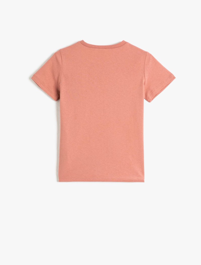 Basic T -shirts