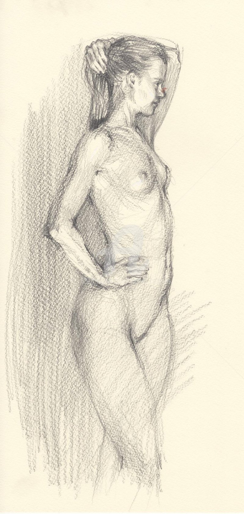 Drawing of naked nature