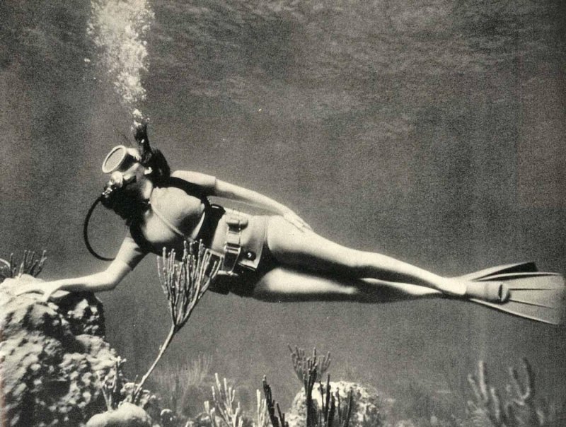 Japanese divers AMA