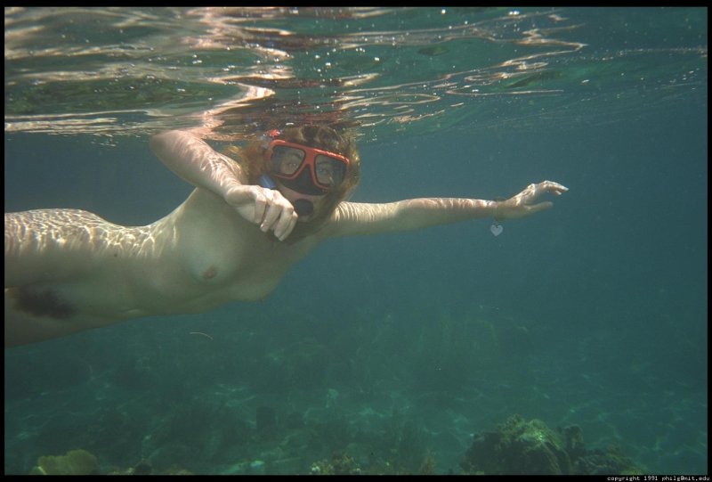 Beautiful naked women underwater
