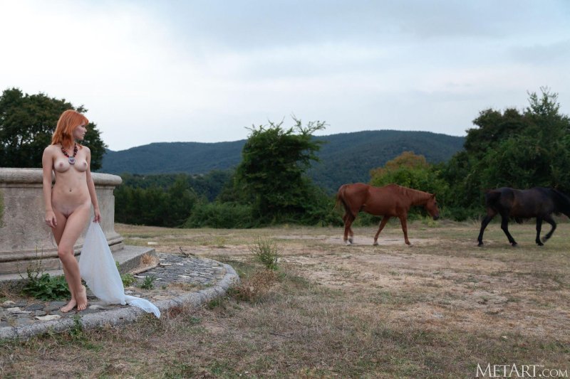 Photo shoots with horses