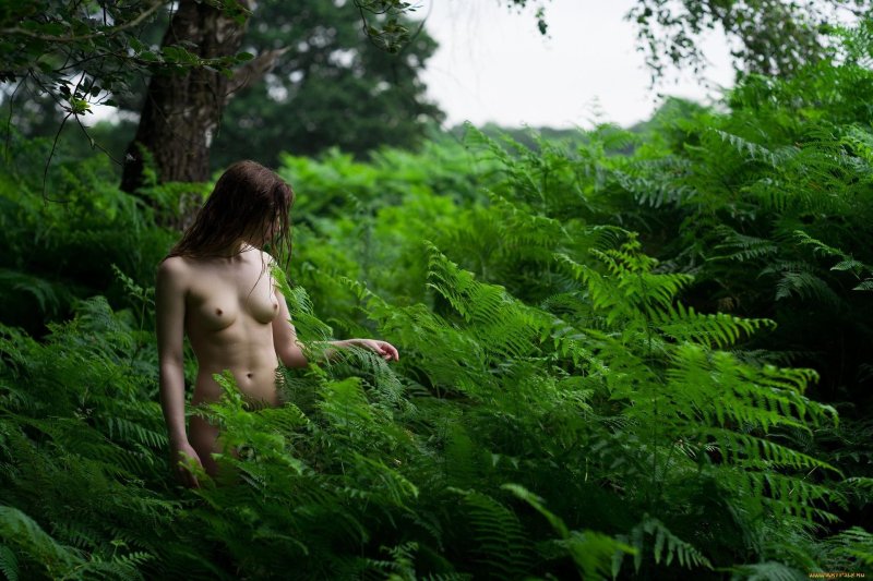Naked women in the forest