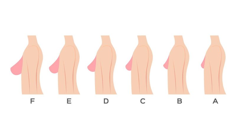 Varieties of the female breast