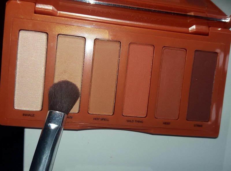 Urban Decay Palette Trees Naked Mini