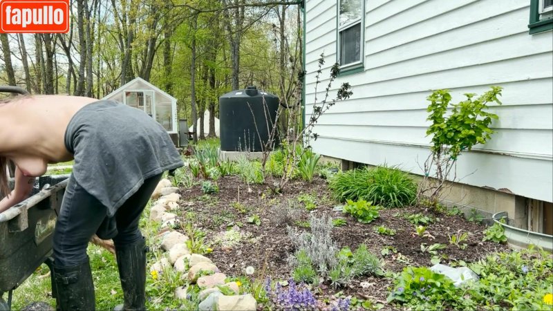 Garden of Dacha