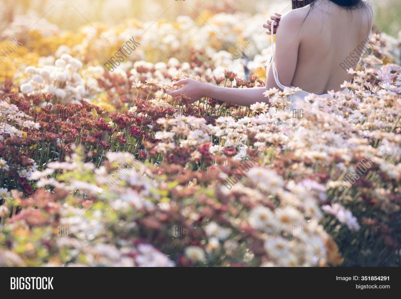 Girl Field Flowers