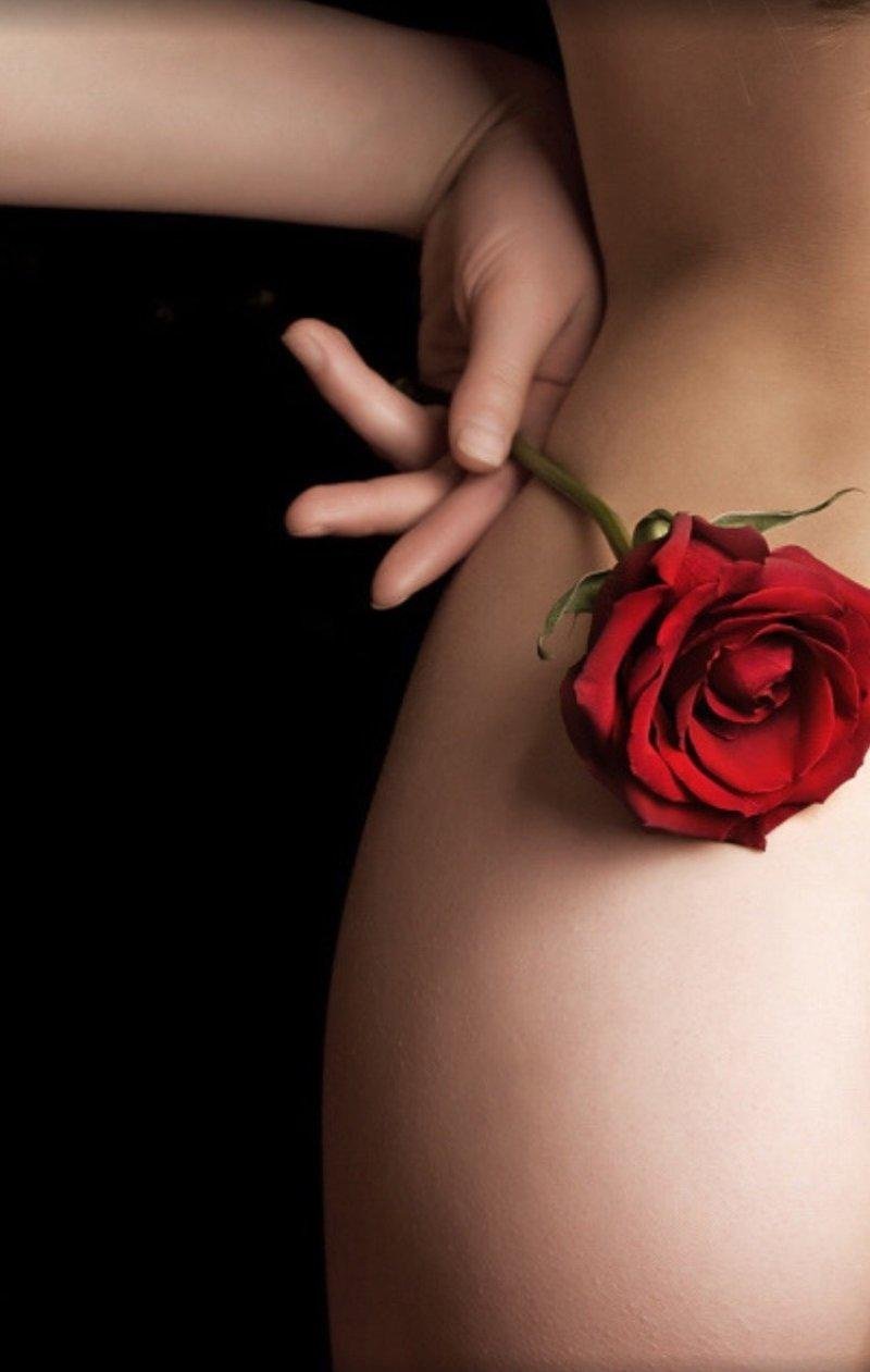 Rose red