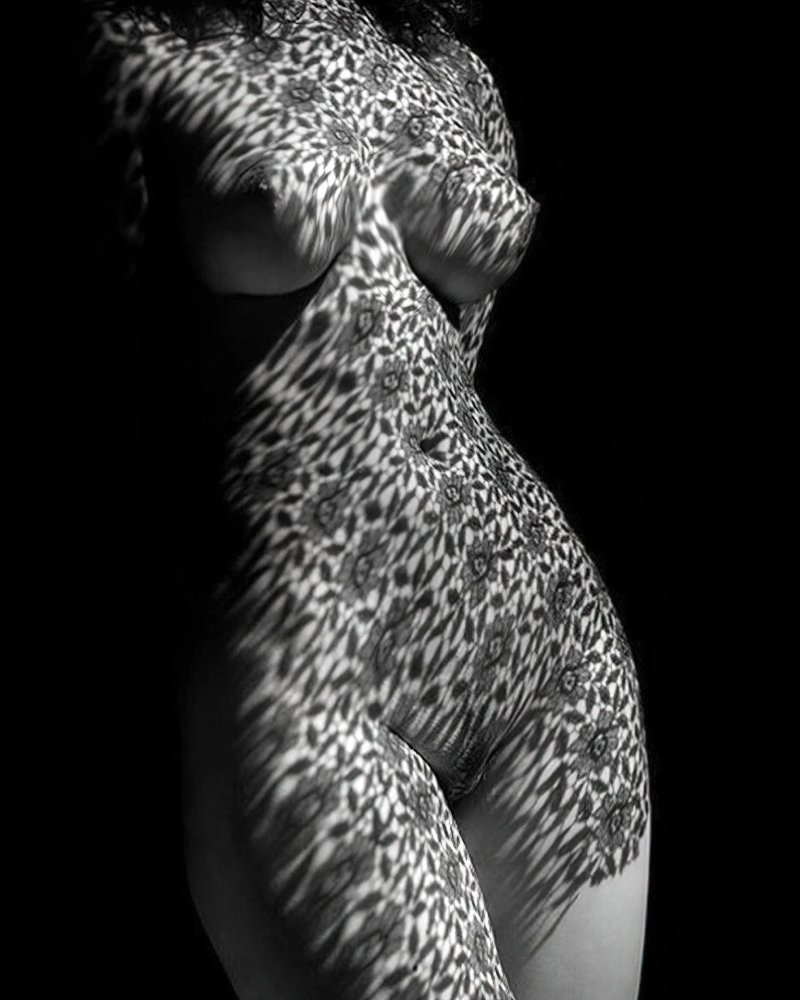 Beautiful black white nude