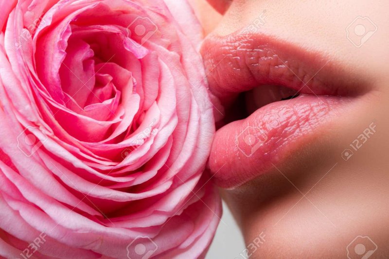 Sexy female lips