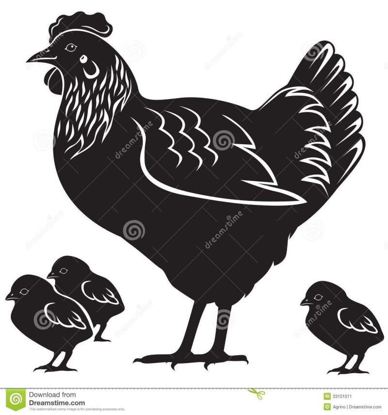 Stencil chicken