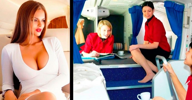 Riley Evans Stewardess
