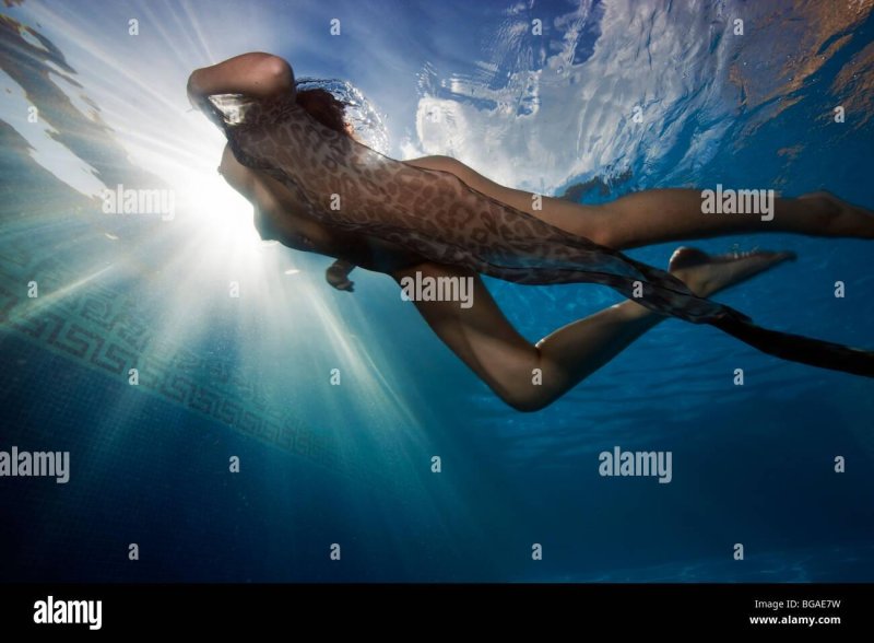 A swimming pool