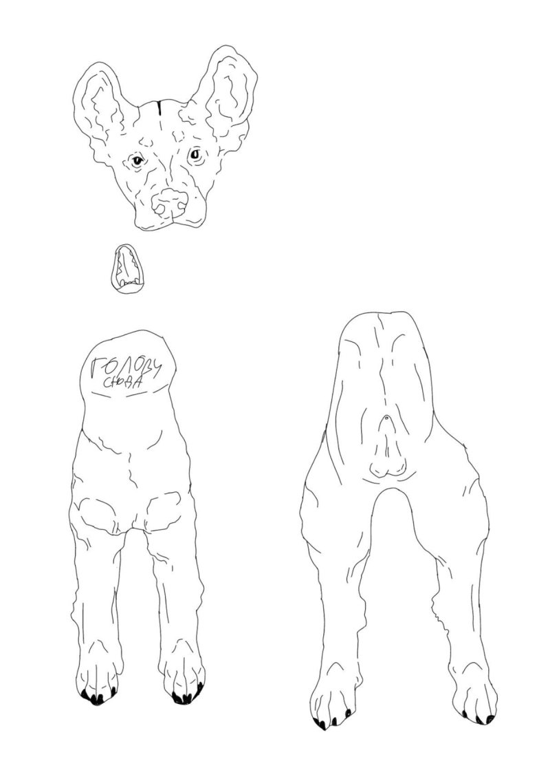 Paper dog Scheme
