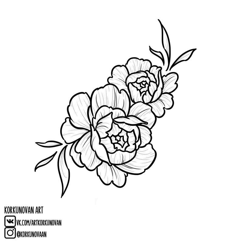 Sketch flower