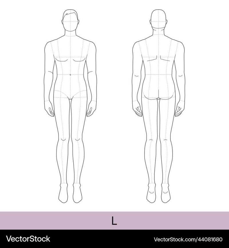 Human body sketch