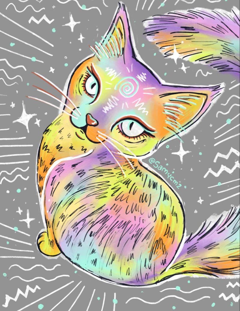 Multi -colored cat