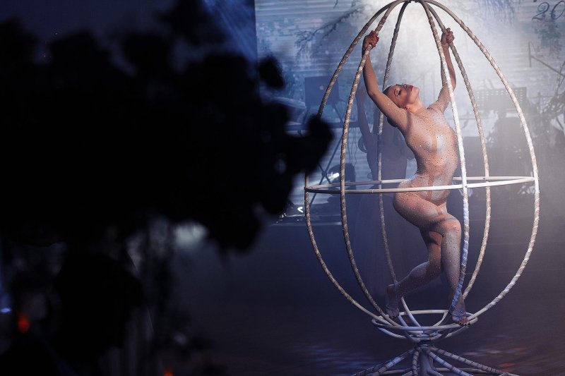 Circus art