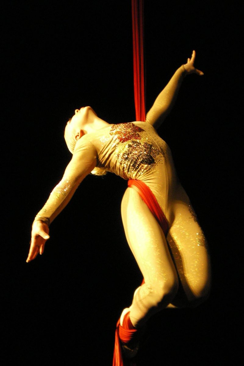Circus du salts Gymnasts