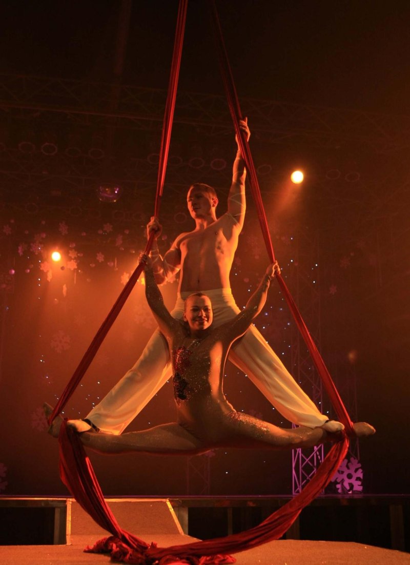 Air gymnast in the circus