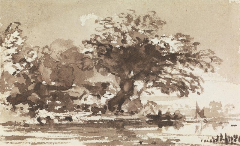 Shishkin oak ether