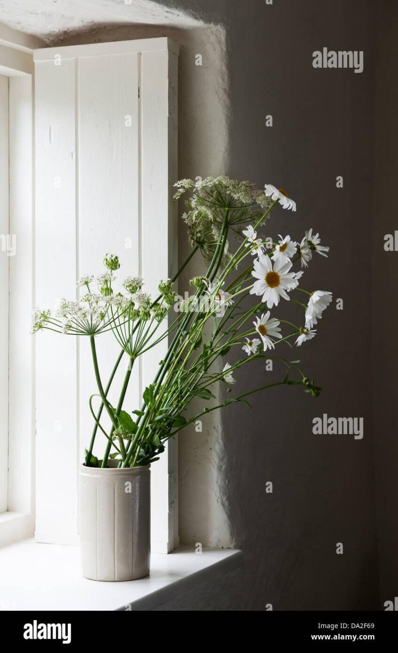 Bouquet of daisies on the window