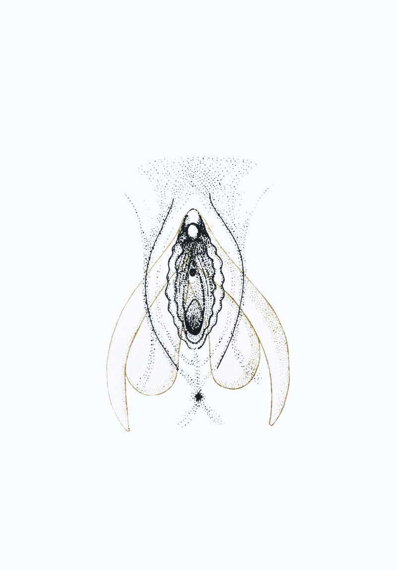 Vaginal drawing