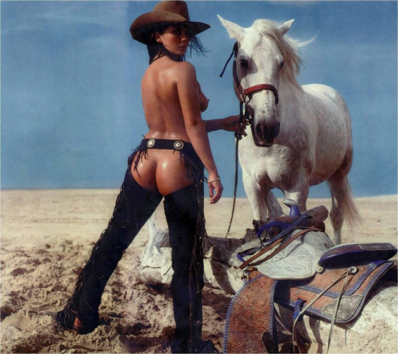 The image of cowboy