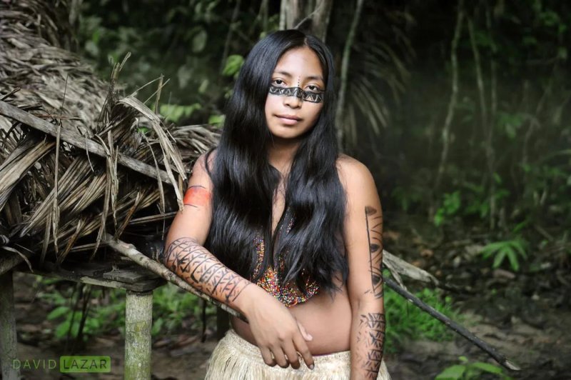 David Lazar tribe Dessan