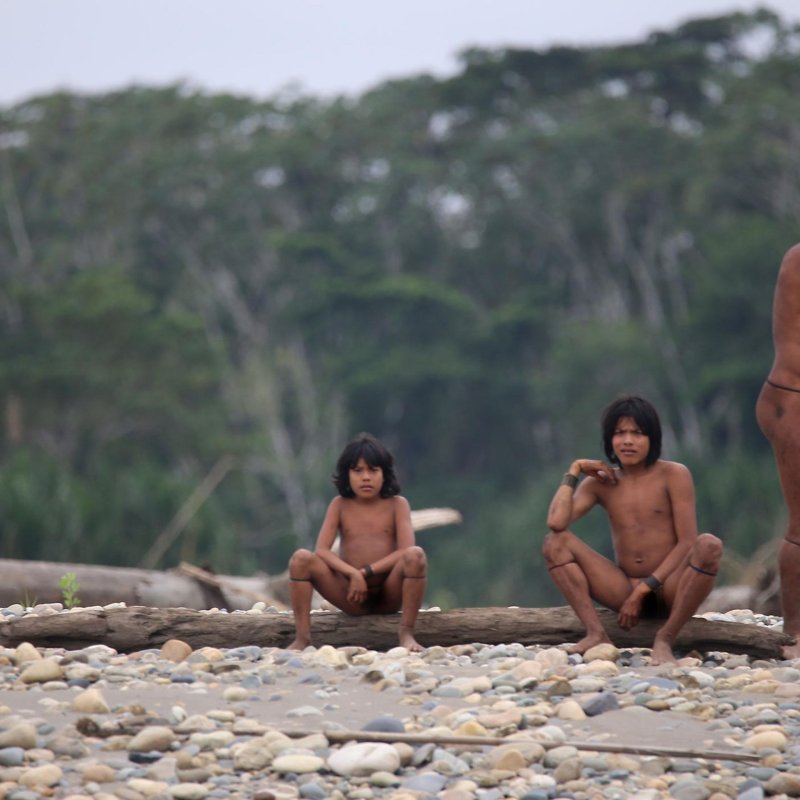 Wild tribes of the Amazon