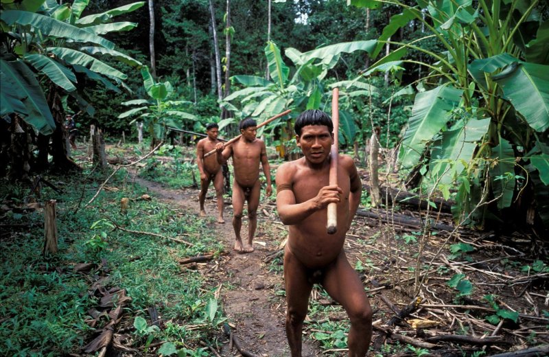 Corubo tribe