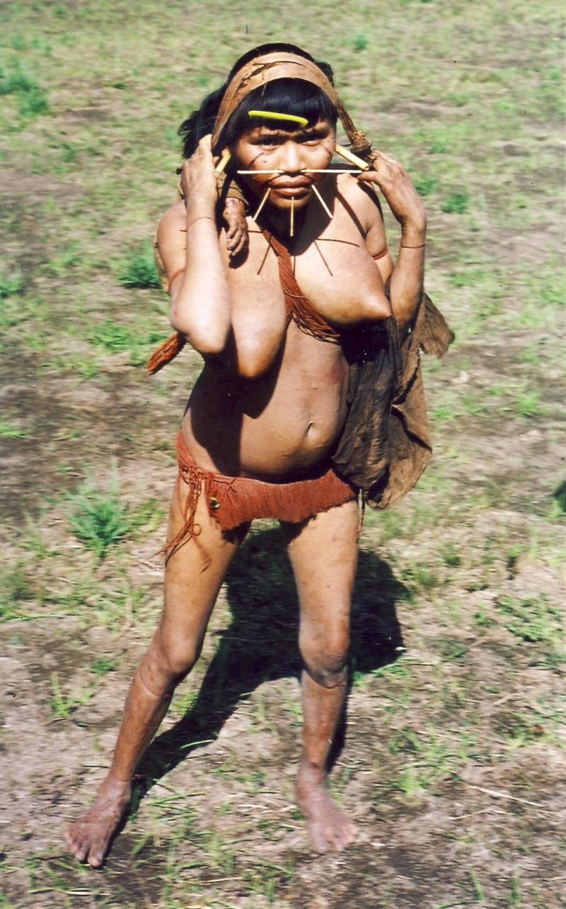 Tribe Janomes
