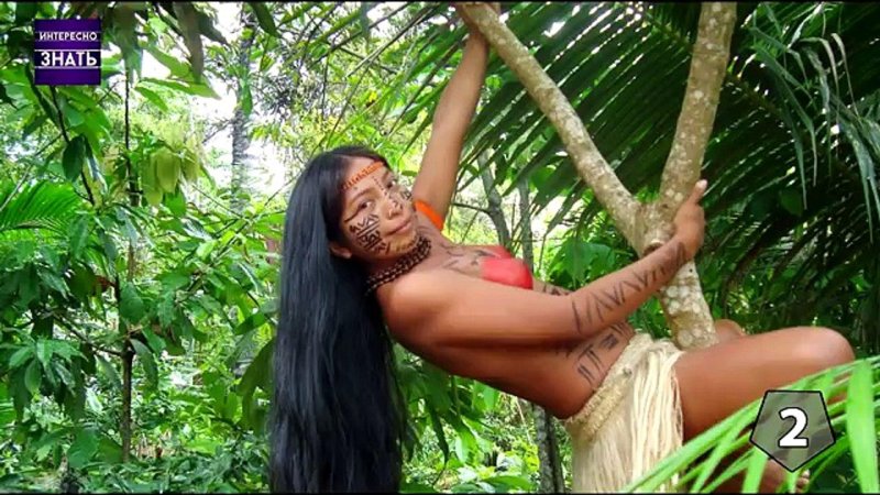 Indians Selva Amazon